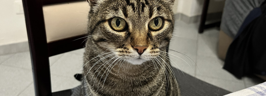 Elisa Tognotti Cover Image